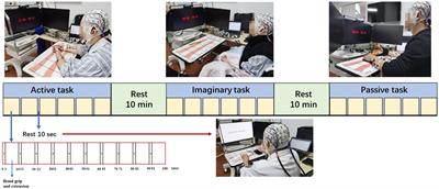 Brain network characteristics between subacute and chronic stroke survivors in active, imagery, passive movement task: a pilot study